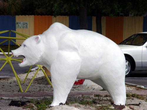 Sarasota Florida: Polar Bear at Twistee Treat - Round America 50-State Trip 2003. Day 10 - 2003-04-10.  